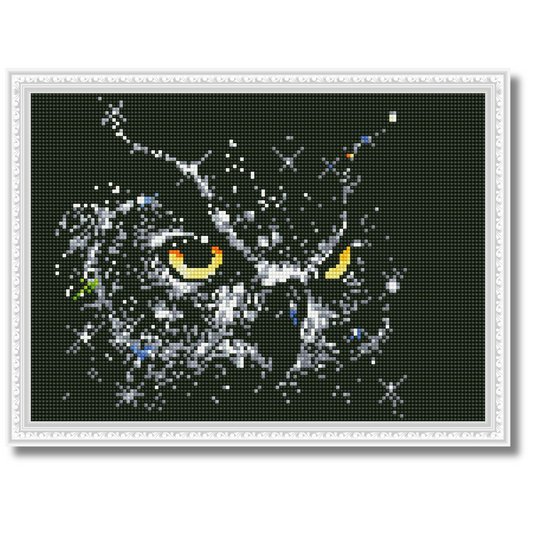 Dijamantski mozaik 30х40 Sova-Zvezda DMM027