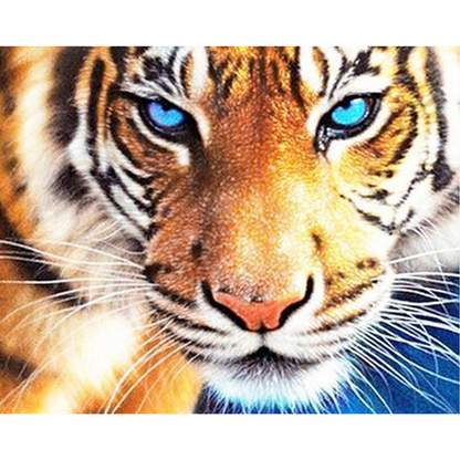 Dijamantski mozaik 40х50 Kralj džungle DML001