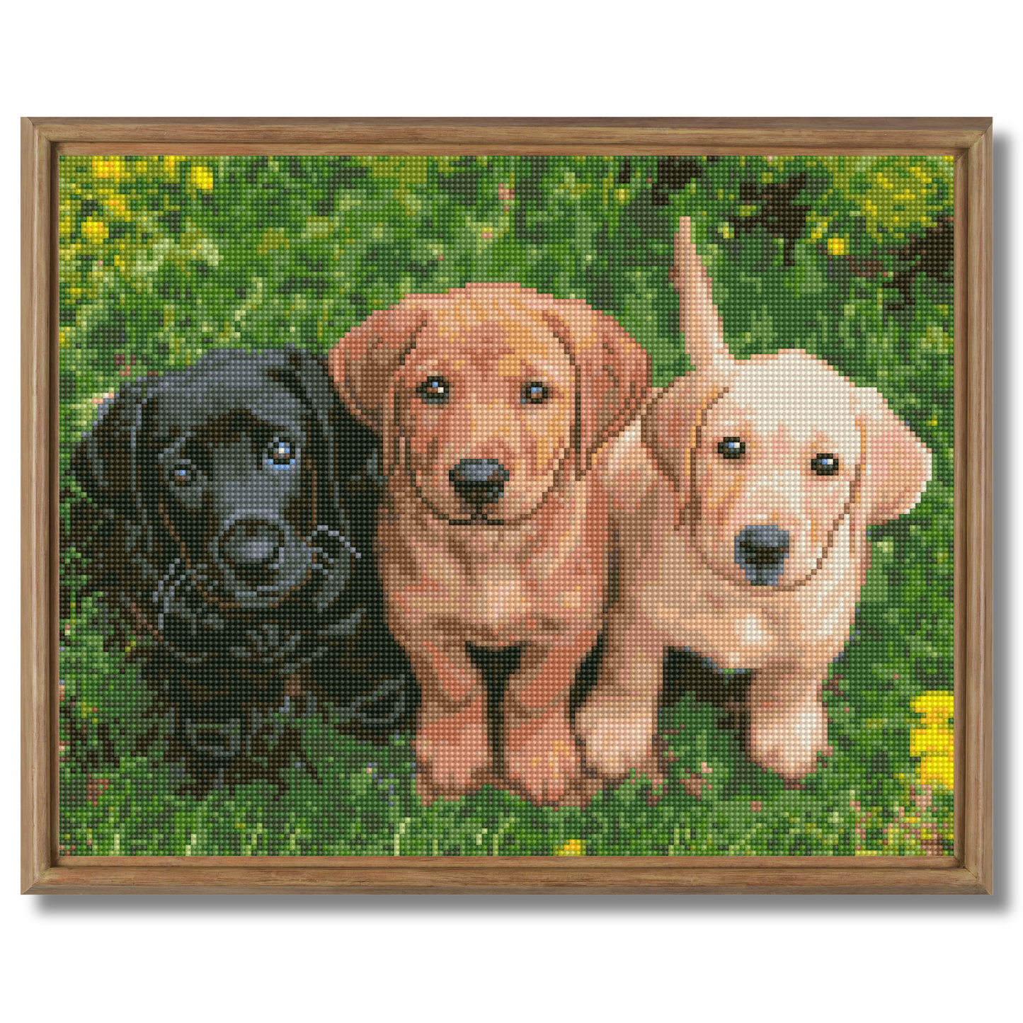 Dijamantski mozaik 40х50 Tri pogleda DML025