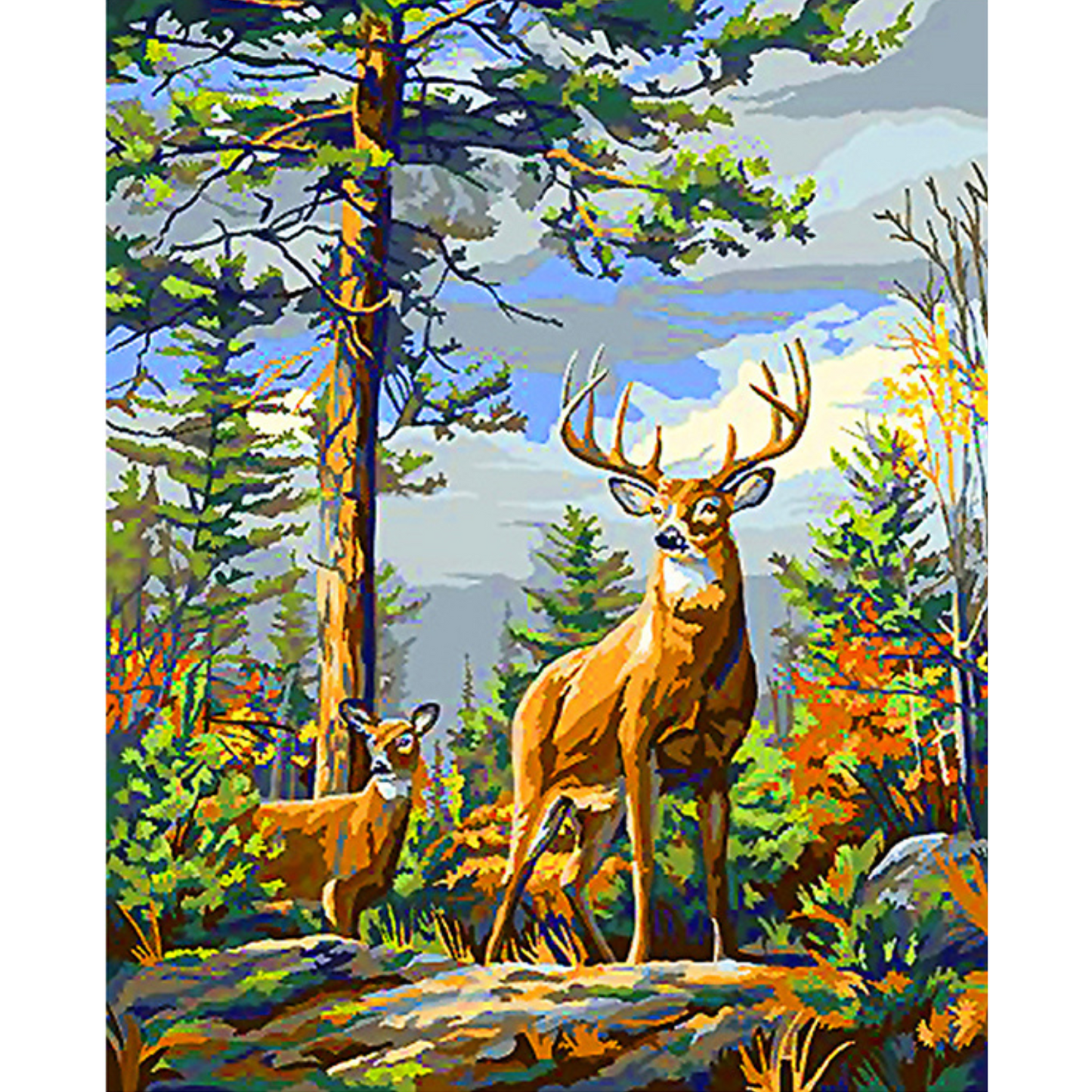 Dijamantski mozaik 40х50 Susret u šumi DML031