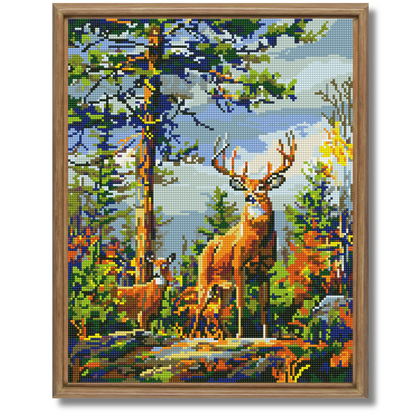 Dijamantski mozaik 40х50 Susret u šumi DML031