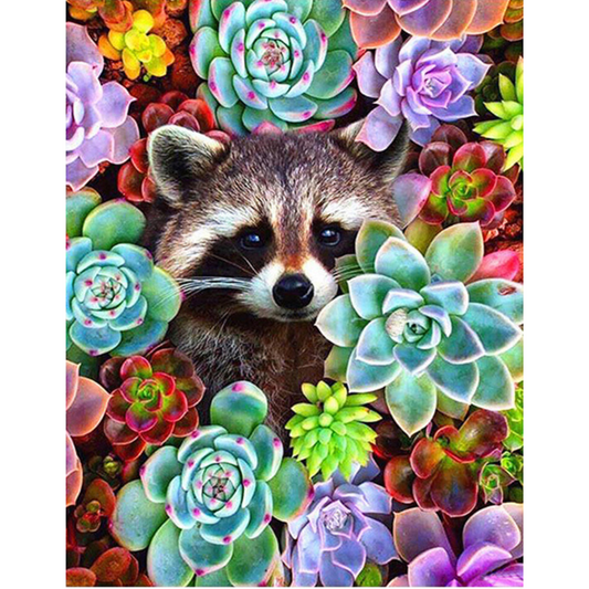 Dijamantski mozaik 30х40 Rakun i sukulenti DMM028