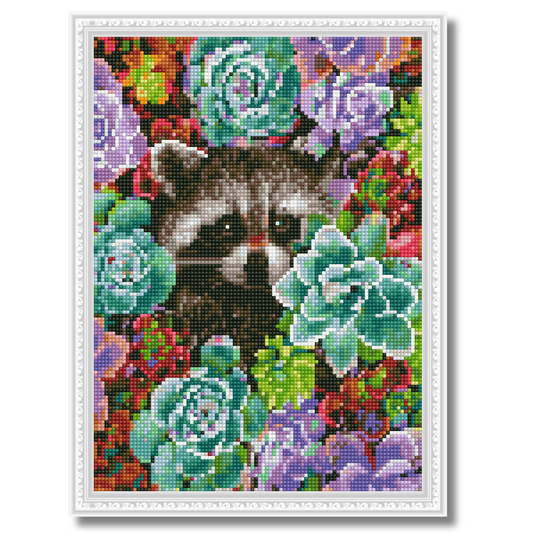Dijamantski mozaik 30х40 Rakun i sukulenti DMM028