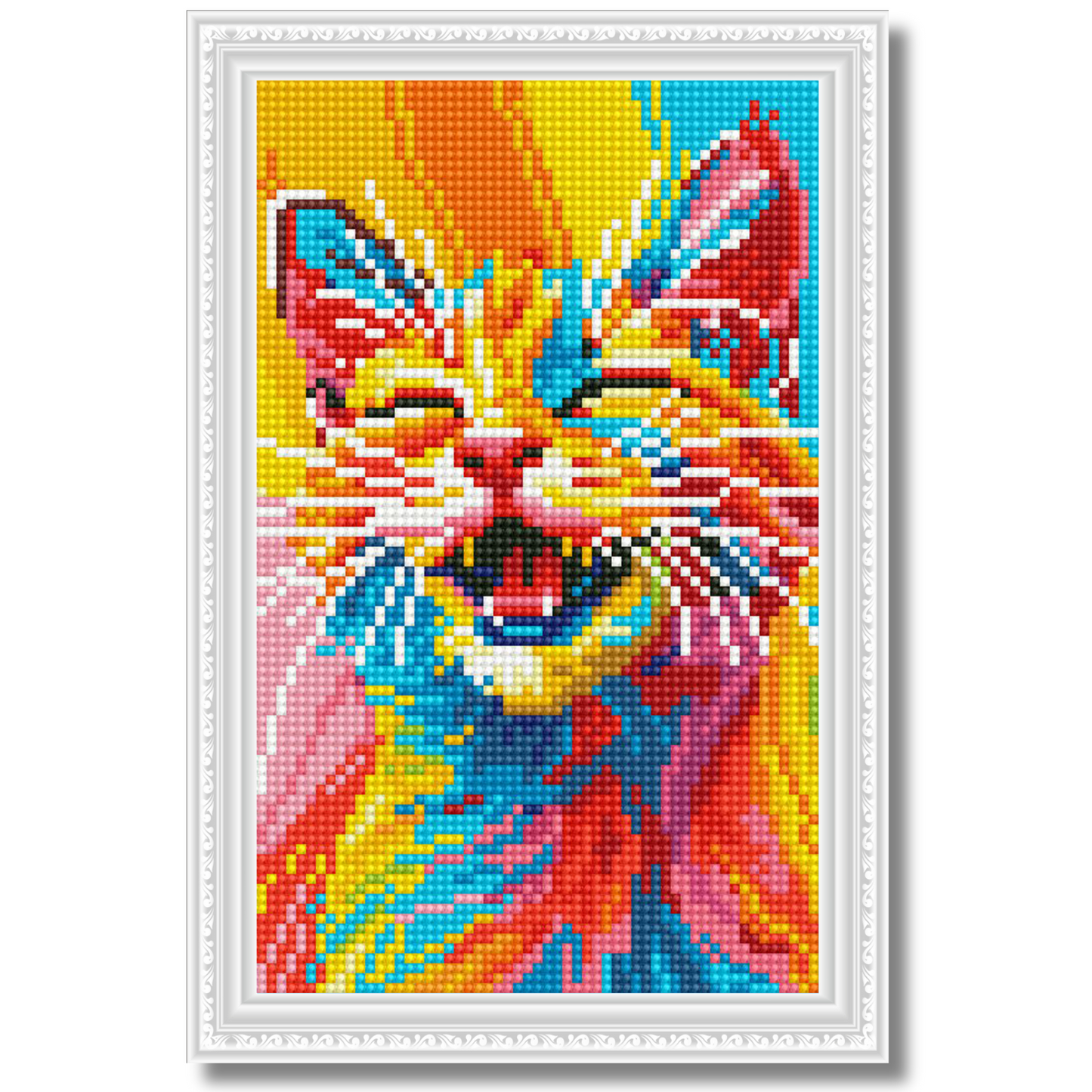 Dijamantski mozaik 20х30 Mačka i duga DMS028