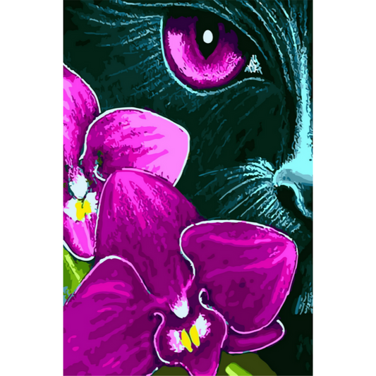 Slika po brojevima 20x30 Crna orhideja SKS008