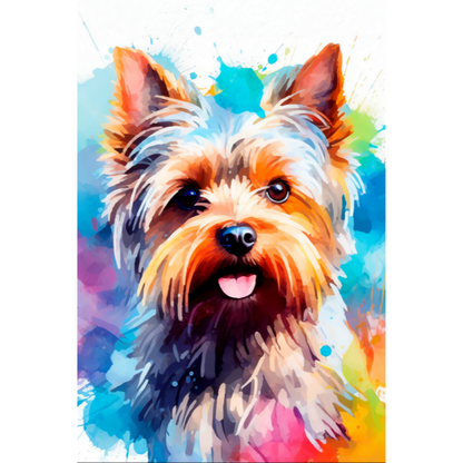 Slika po brojevima 20x30 Šareni jork SKS012